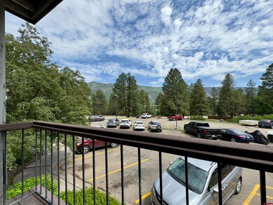 34237 U S 550 unit 16, Durango, CO 81301 - photo 7