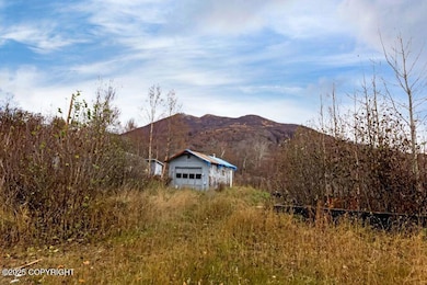 17050 E T and T Ln, Palmer, AK 99645 - photo 7