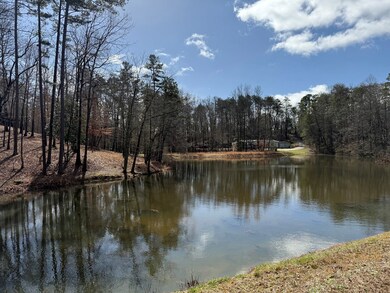 Community Pond