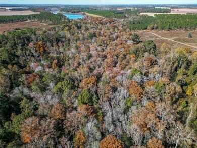 William Avera Rd, Morgan, GA 39866 - photo 7