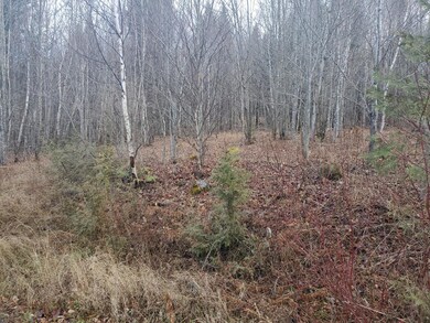 20201116_141225 (1)