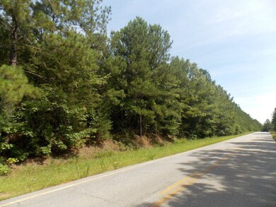 27 Amity Woodlawn Rd, Lincolnton, GA 30817 - photo 6