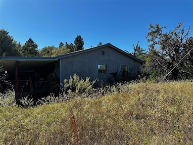 535 Private Road 3420, Jewett, TX 75846 - photo 5