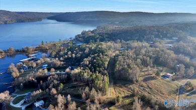 5.58 ac Rachel Rd, Langston, AL 35755 - photo 3