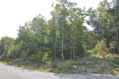 View from street towards driveway