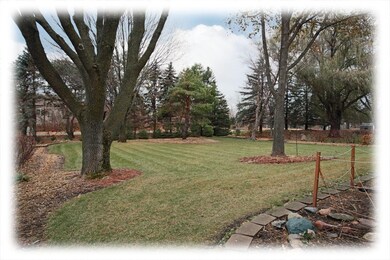 Private backyard.