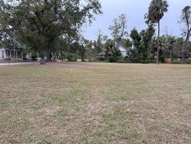 0 W Hill Ave, Valdosta, GA 31601 - photo 5