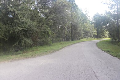 00 SW 211th Cir, Dunnellon, FL 34431 - photo 3