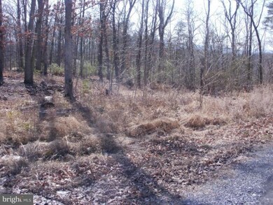 0 Thunderbird unit 1004450102, Front Royal, VA 22630 - photo 2