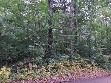 365 Burnside Hideaway Dr, Burnside, KY 42519 - photo 7