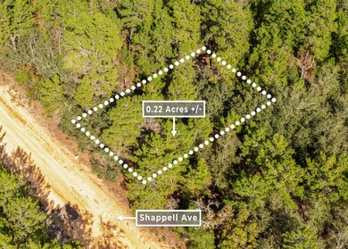 0 Shappell Ave unit 25253026, Interlachen, FL 32148 - photo 3