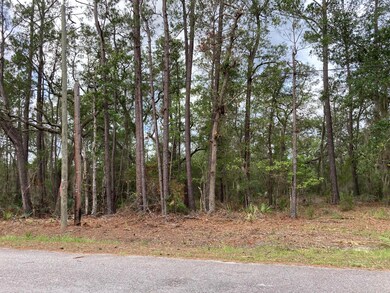 Lot View Right