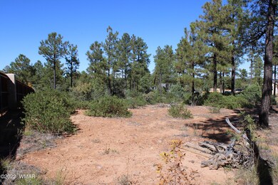 441 E Huckleberry Ln, Show Low, AZ 85901 - photo 6