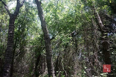 Teal Rd, Ardmore, OK 73401 - photo 5