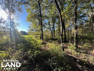 00000 E Hwy 400 unit Weir KS 66781, Weir, KS 66781 - photo 4