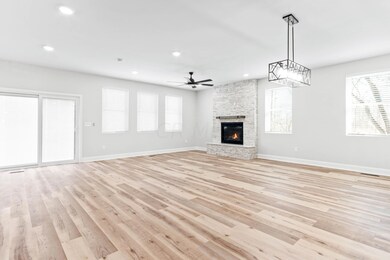 Genessee fireplace