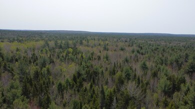 DJI_0057