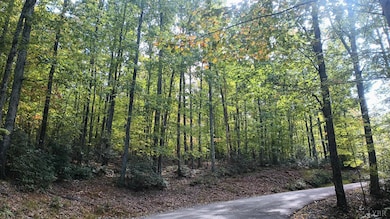 0 Oakcrest Ln unit 363097, Rockfish, VA 22958 - photo 3