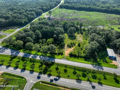 0 U S 49, Wiggins, MS 39577 - photo 2