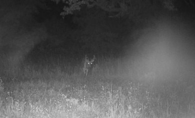 Lookout Trail, Kirksville, MO 63501 - photo 5