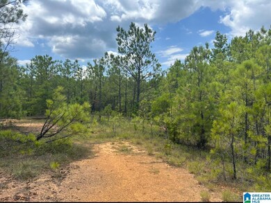 23 Acres Truman Aldrich Pkwy unit 23 ACRES, West Blocton, AL 35184 - photo 4