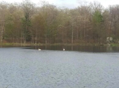 V/L N Beaver Trail, Lilley Township, MI 49309 - photo 6