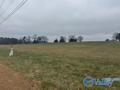 TRACT 7 Alabama 99, Elkmont, AL 35620 - photo 5