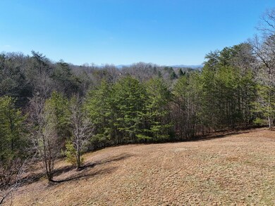 LT 13/14 S Williamstown Ridge, Mineral Bluff, GA 30559 - photo 4