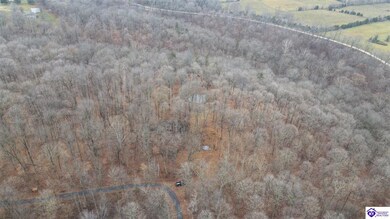 Lot 1 Vinson Rd, Brandenburg, KY 40108 - photo 3