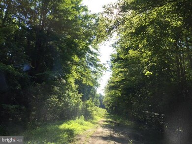 0 Pinewood Ln unit 1000025877, Colonial Beach, VA 22443 - photo 2