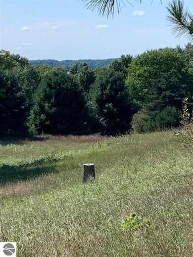 00 Walling Rd unit E, Helena Township, MI 49612 - photo 7