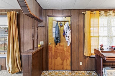 3450 Myrtle Ln, Festus, MO 63028 - photo 6