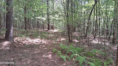 Lot 20 Airport Rd (Pca), Rockwood, TN 37854 - photo 7