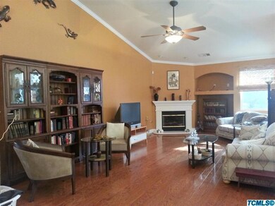 Gas fireplace in the living room.
