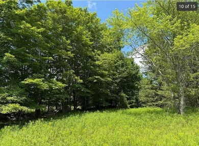 125 Dimmick Mountain Rd, Middletown, NY 12430 - photo 5