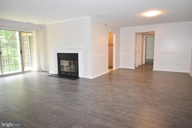 17 Rainflower Path unit 203, Sparks Glencoe, MD 21152 - photo 5