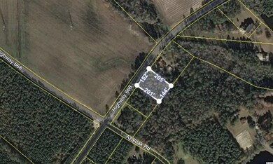 TBD Parcel 1 Highway 668, Conway, SC 29526 - photo 3