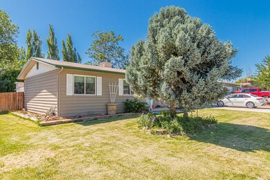 637 29 1/4 Rd, Grand Junction, CO 81504 - photo 3