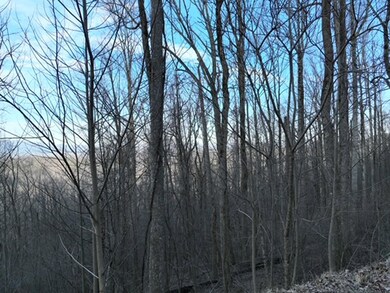 279 Andes Ridge, Ellijay, GA 30536 - photo 6