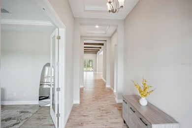 14292 Swiss Bridge Dr, Riverview, FL 33579 - photo 6