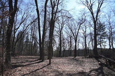 38869 Odin Ct, Ward Township, MN 56438 - photo 7