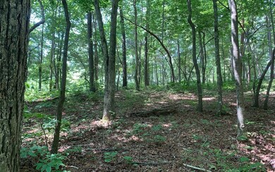 Additional View