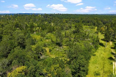 TBD Farm To Market 1798 E, Mount Enterprise, TX 75681 - photo 6