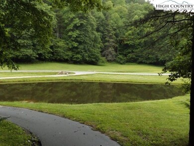 community pond