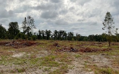 0 SW 79th Dr unit 118331, Jasper, FL 32052 - photo 4