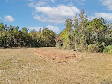 TBD N Fm 161, Hughes Springs, TX 75656 - photo 3