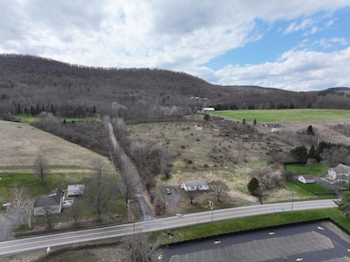 0 New York 28, Hartwick, NY 13348 - photo 4