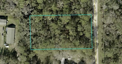 1230 Honeytree St, Bunnell, FL 32110 - photo 2