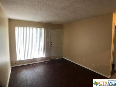1245 N Lbj Dr unit B, San Marcos, TX 78666 - photo 5