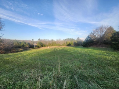43565 St Highway 181-Pvt Dr-B, Vanzant, MO 65768 - photo 2